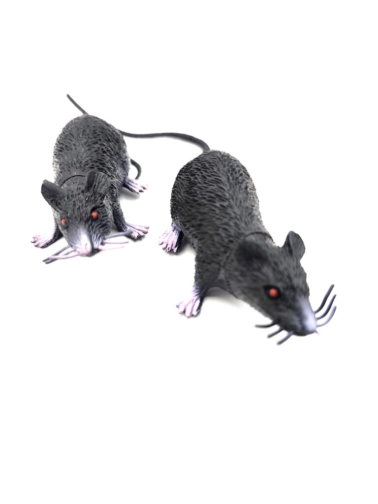 ratten bauschaum